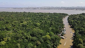 Brazil's Indigenous battle with a dry Amazon rainforest