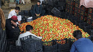 Pakistan-Afghanistan border closures push up prices of essentials such as tomatoes