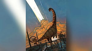 New Mexico fossils show dinosaurs thriving just before annihilation