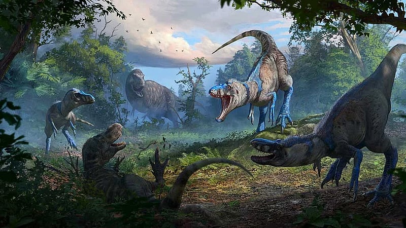 Agile and vicious Nanotyrannus was not just a teenage T-Rex