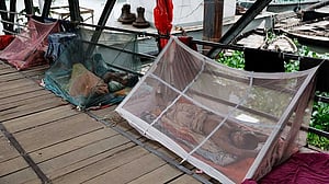 Bangladesh battles rising tide of dengue and chikungunya