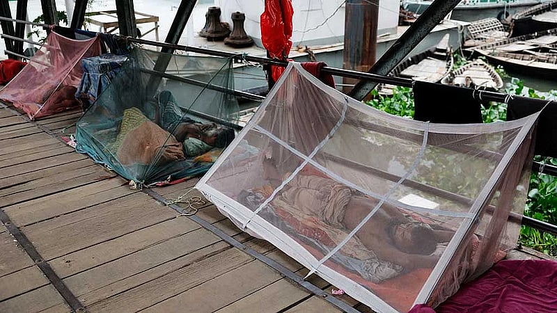 Bangladesh battles rising tide of dengue and chikungunya