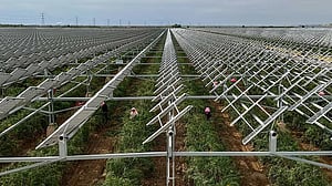 China enlists solar panels in war to halt desert sands