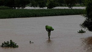 Punjab floods washed away thousands of villages and farms; now the devastation threatens Pakistan's economy