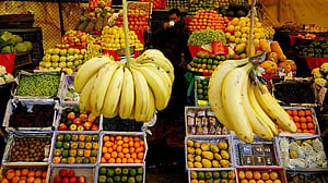 Stable India growth outlook masks hit to vast informal sector, say economists