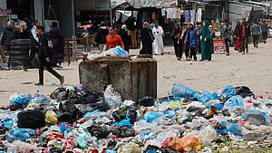 Rats infest Gaza's tent camps, biting children and spreading disease
