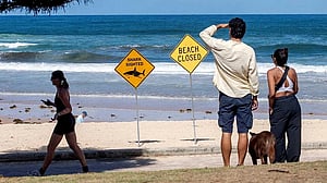 Australian boy killed by shark in Sydney Harbour honoured at Bondi Beach