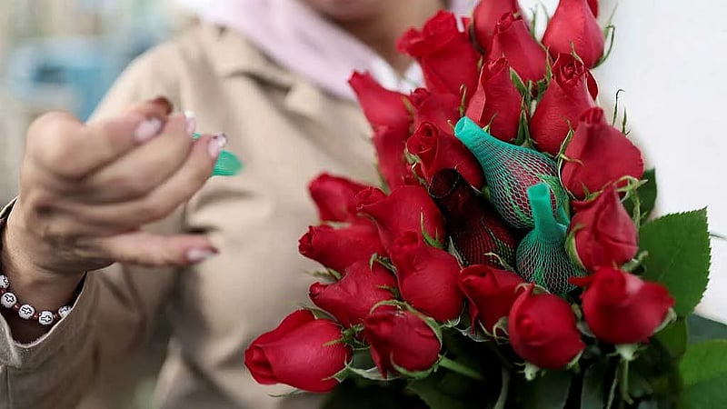 Tariffs threaten Colombian flower industry amid Valentine's Day rush