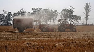 India faces hotter, drier February, threatening winter crops