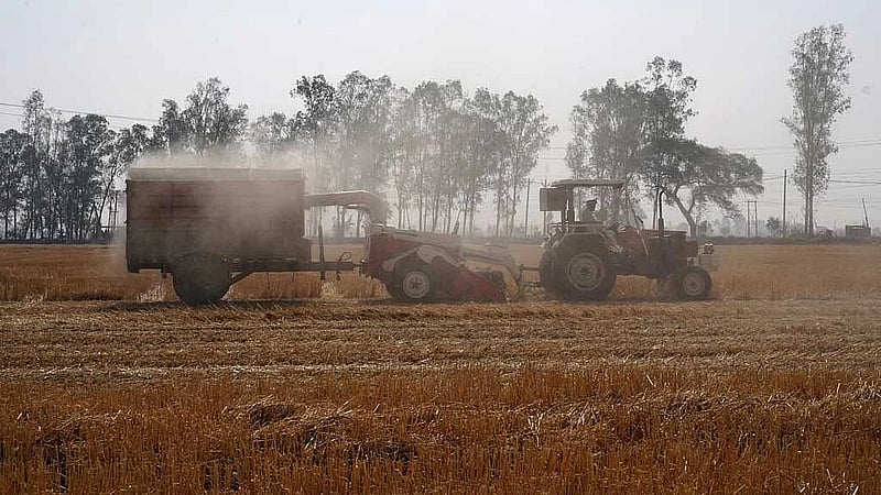 India faces hotter, drier February, threatening winter crops