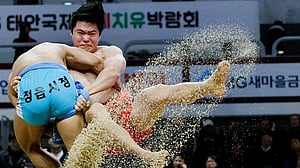 Once a national obsession, traditional Korean wrestling fights for survival