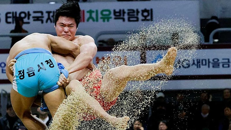 Once a national obsession, traditional Korean wrestling fights for survival