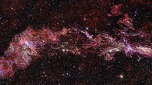 Vast web of cold gas observed at the heart of the Milky Way