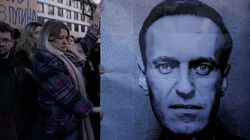 Navalny's death was caused by dart frog poison, European allies say