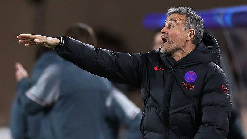 PSG have been toughened up for later stages of the Champions League, says Luis Enrique