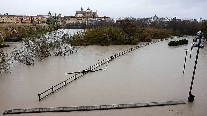 Farmers report 'catastrophic' damage to crops as Storm Marta hits Spain and Portugal