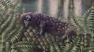 Canadian fossil reveals one of the first plant-eating animals