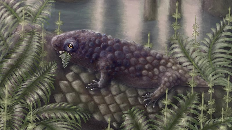 Canadian fossil reveals one of the first plant-eating animals