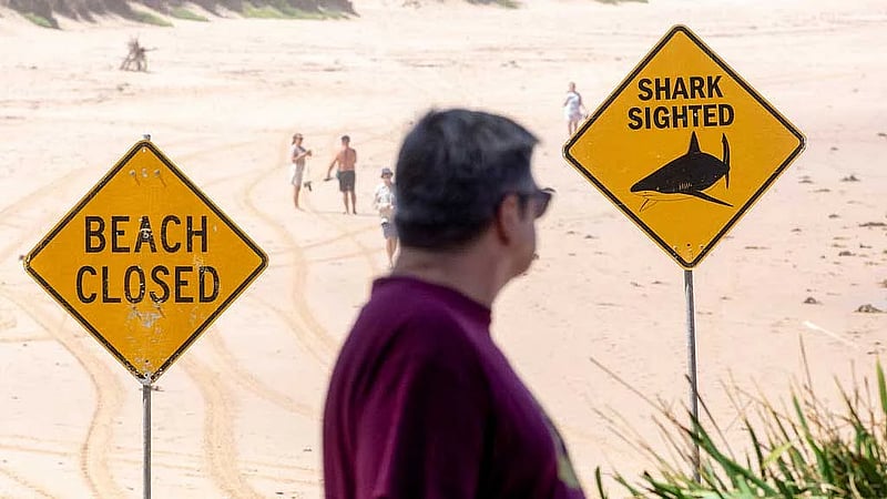 Australia shuts dozens of east coast beaches after shark attacks