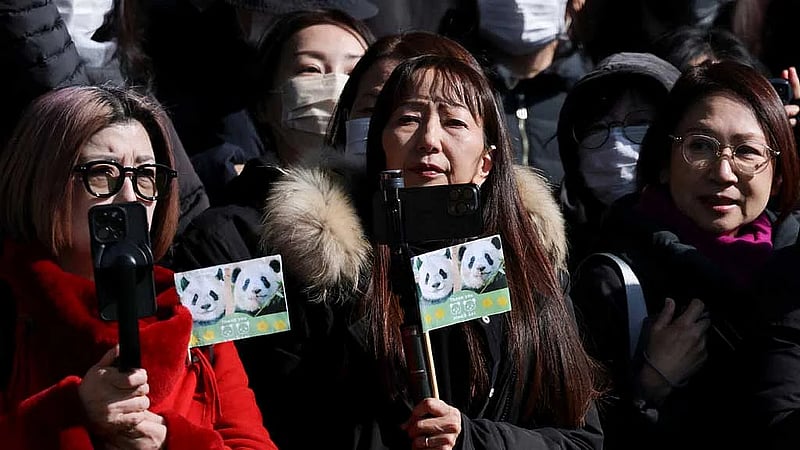 Japan bids farewell to last giant pandas as pair leave for China