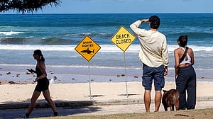 Australian boy dies after shark attack in Sydney Harbour