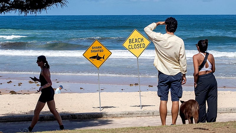 Australian boy dies after shark attack in Sydney Harbour