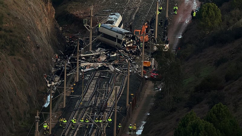 Dog missing in Spanish train crash rescued after four days