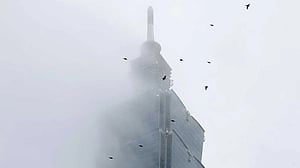 'Free solo' climb of Taiwan's tallest building postponed due to weather
