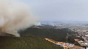 Chile wildfires leave 19 dead amid extreme heat as scores evacuated