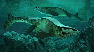 Fearsome dinosaur-era marine reptile was the T rex of the sea
