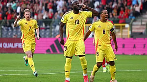 Lukaku indispensable to Belgium's World Cup cause says coach