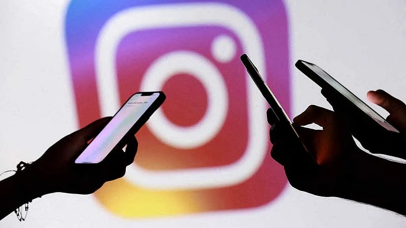 India's 'Cockroach' group goes viral, spotlights Gen Z worries