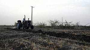 Iran war poses new threat to harvests in hunger-stricken Sudan