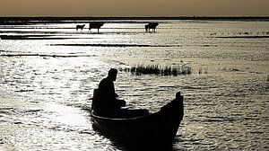 Iraq's historic marshes revive as water returns after years of drought