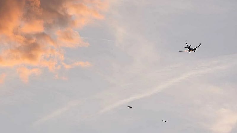'Miraculous': 11 plane crash survivors rescued at sea off Florida