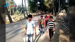 গাছের প্রতি ভালোবাসা (ভিডিওসহ)