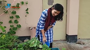 বাড়িতে ছোট বাগান যেসব সুবিধা দেয়