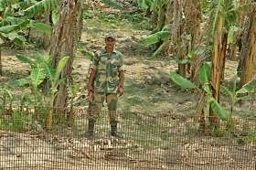 BSF kills 1000 Bangladeshis in 10yrs