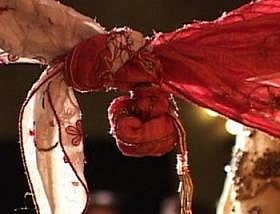 Hindu marriage registration bill in Parliament