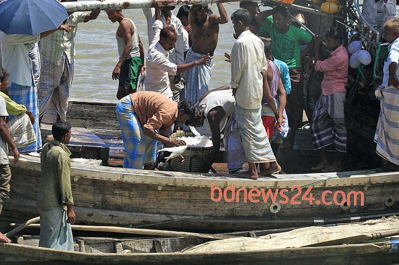 কক্সবাজারের বাকখালী নদী তীরের ফিসারি ঘাটে রোববার ট্রলার থেকে মাছ নামাচ্ছে জেলেরা। 