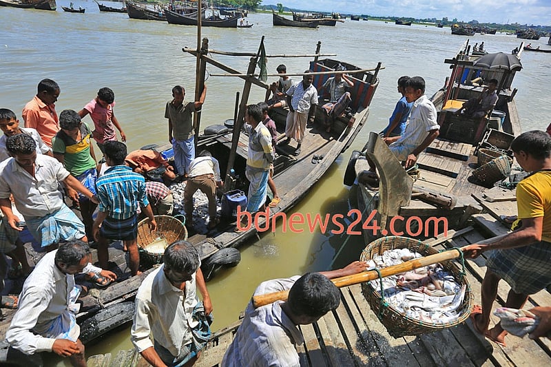 কক্সবাজারের বাকখালী নদী তীরের ফিসারি ঘাটে রোববার ট্রলার থেকে মাছ নামাচ্ছে জেলেরা। 