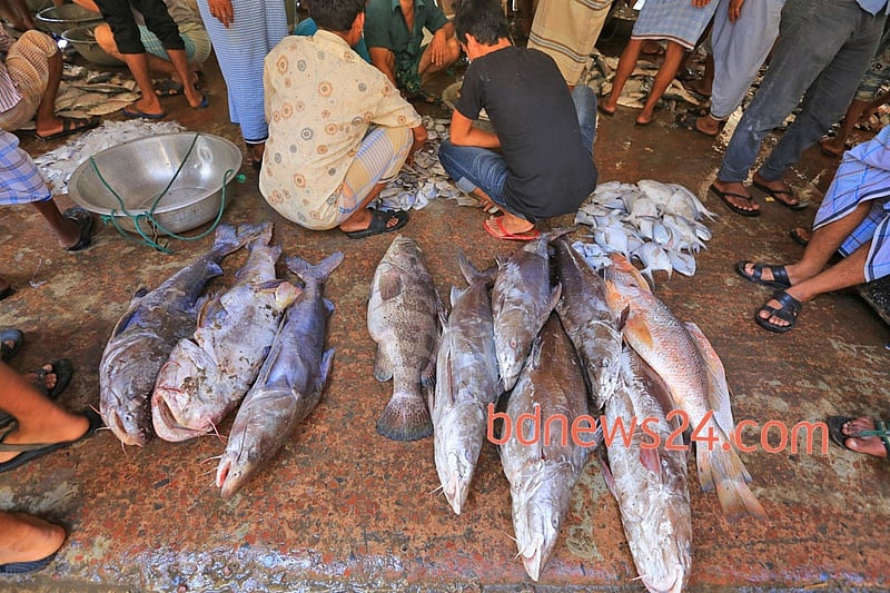 কক্সবাজারের ফিসারি ঘাটে বিক্রির অপেক্ষায় নানা সামুদ্রিক মাছ। ছবিটি রোববার তোলা। 