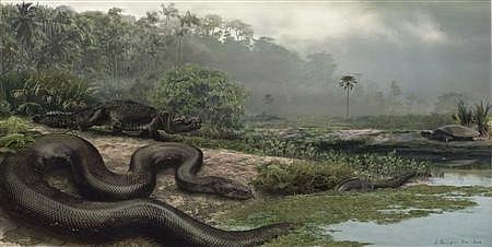 Forget anaconda, this monster snake had crocs for dinner!
