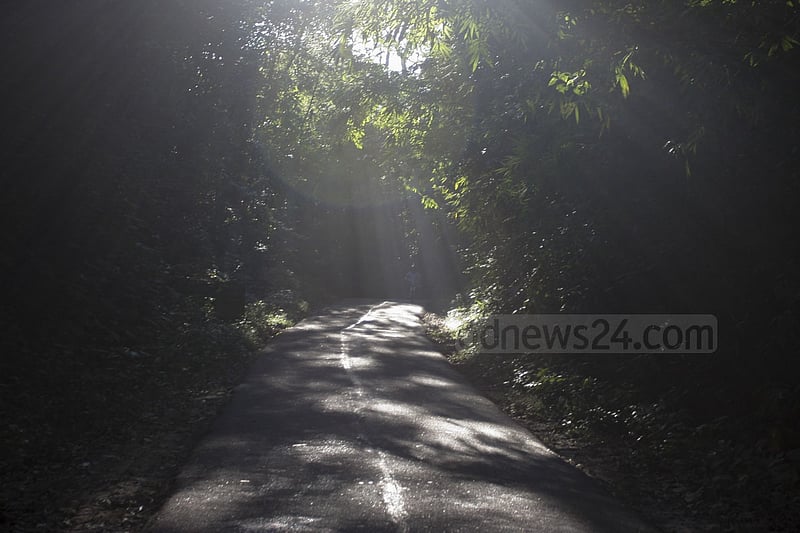লাউয়াছড়া জঙ্গলের ভেতর দিয়ে চলে যাওয়া ভানুগাছ সড়ক।  