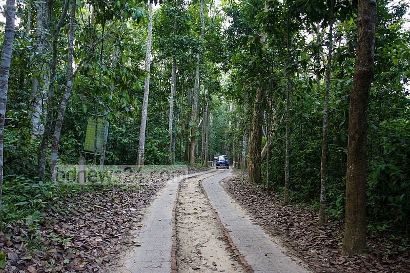 লাউয়াছড়া জাতীয় উদ্যানের প্রবেশপথ।  