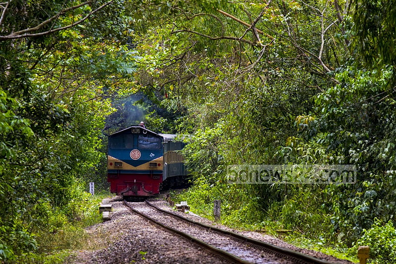 লাউয়াছড়া জঙ্গলের ভেতর দিয়ে চলে যাওয়া ঢাকা-সিলেট রেল পথ।  