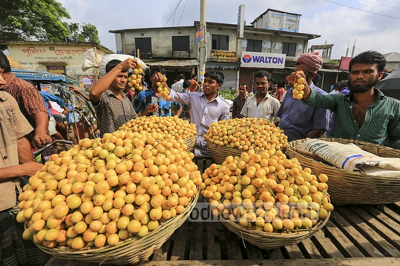 বেলাব উপজেলার মরজাল বাজারে লটকনের বিকিকিনি। প্রতিদিন ভোররাত থেকে দুপুর পর্যন্ত এ বাজারে লটকনের পাইকারি বিকিকিনি চলে। ছবি: মুস্তাফিজ মামুন
