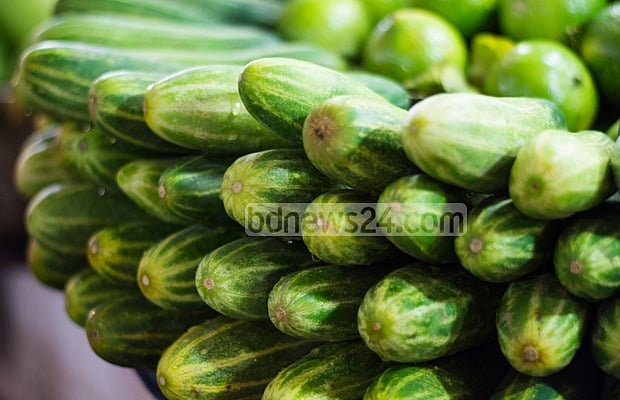 যে কারণে শসা সংরক্ষণ করতে হয় ভিজিয়ে রেখে