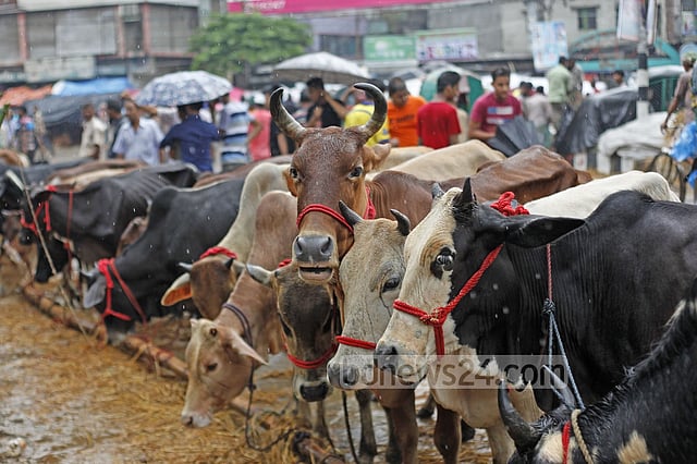 কোরবানির ঈদের ছুটি ৪ দিন করার সুপারিশ মন্ত্রিসভা কমিটির