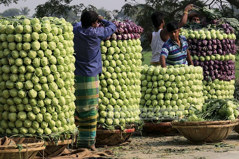 Farmers in Keraniganj’s Hajratpur stacking turnips for sending them to market.